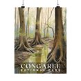 thumbnail image 1 of ELNEIT - Congaree National Park Poster, Unframed Matte Paper, S02, 1 of 4
