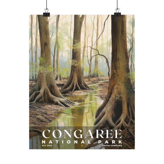 ELNEIT - Congaree National Park Poster, Unframed Matte Paper, S02