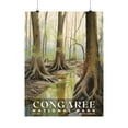 thumbnail image 1 of ELNEIT - Congaree National Park Poster, Unframed Matte Paper, S02, 1 of 4