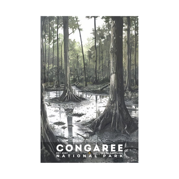 ELNEIT - Congaree National Park Poster, Unframed Matte Paper, S17
