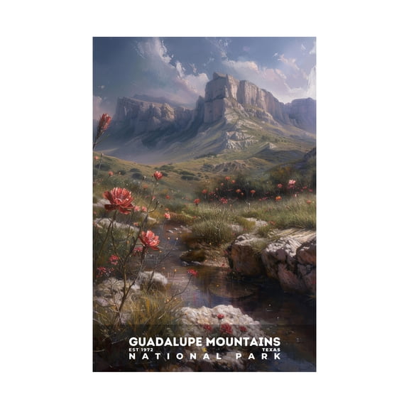 ELNEIT - Guadalupe Mountains National Park Poster, Unframed Matte Paper, S12