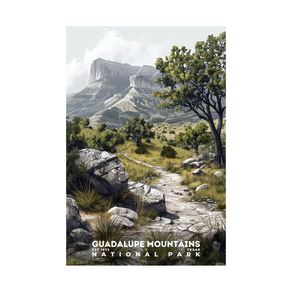 ELNEIT - Guadalupe Mountains National Park Poster, Unframed Matte Paper, S17