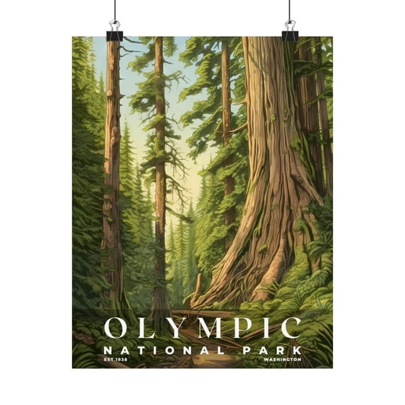 ELNEIT - Olympic National Park Poster, Unframed Matte Paper, S02