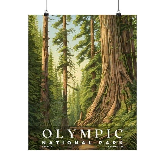 ELNEIT - Olympic National Park Poster, Unframed Matte Paper, S02