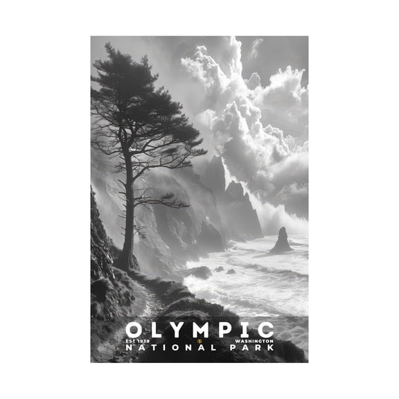 ELNEIT - Olympic National Park Poster, Unframed Matte Paper, S15