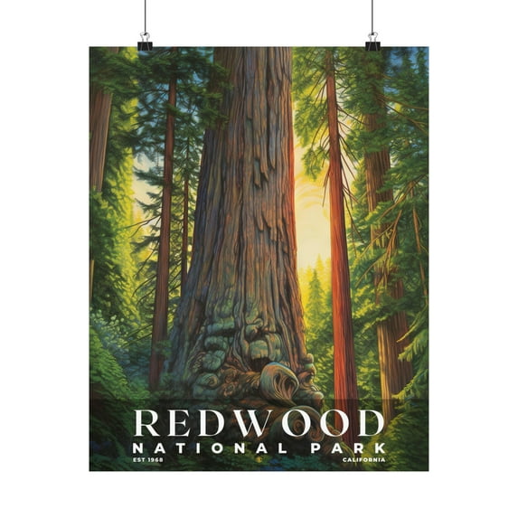 ELNEIT - Redwood National Park Poster, Unframed Matte Paper, S02