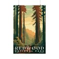 thumbnail image 1 of ELNEIT - Redwood National Park Poster, Unframed Matte Paper, S05, 1 of 4