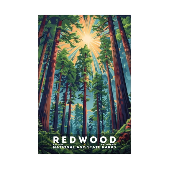 ELNEIT - Redwood National Park Poster, Unframed Matte Paper, S11