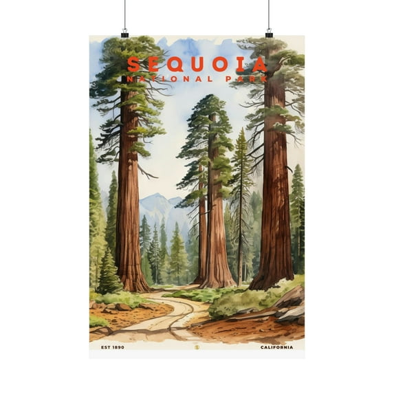 ELNEIT - Sequoia National Park Poster, Unframed Matte Paper, S08