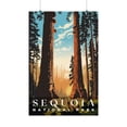 thumbnail image 1 of ELNEIT - Sequoia National Park Poster, Unframed Matte, S01, 1 of 4