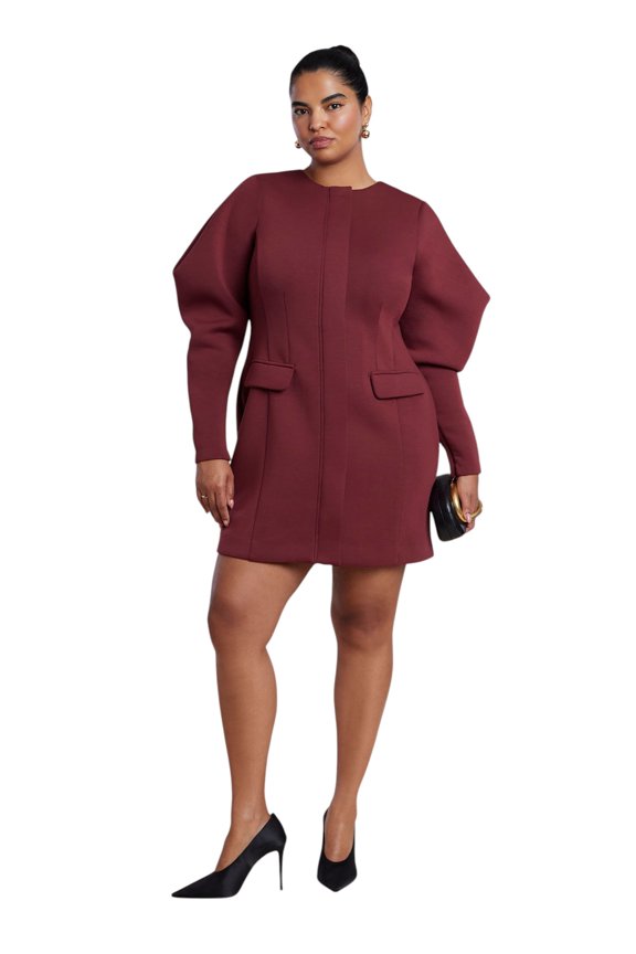 Women's Plus Size Exaggerated Sleeve Jacket Mini Dress