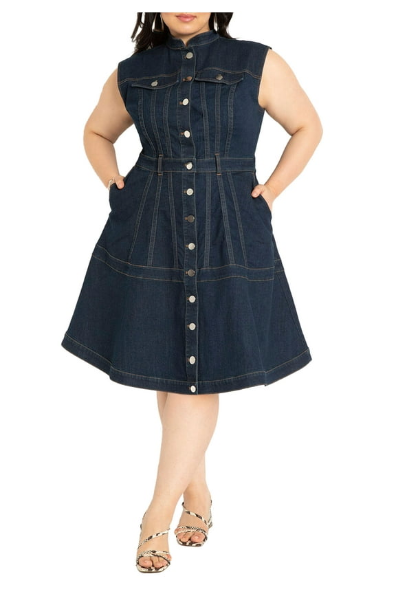 Women's Plus Size Fit & Flare Denim Dress