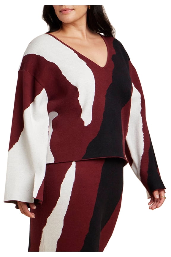 Women's Plus Size V Neck Intarsia Sweater