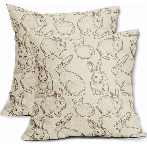 ELOYA- Sweetshow Brown Bunny Easter Pillow Covers 18x18 Set of 2 Cute Rabbit Easter Themed Print Decorative Throw Pillows for Home & Office