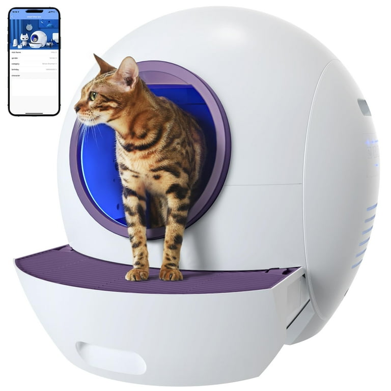 No litter cat shop box