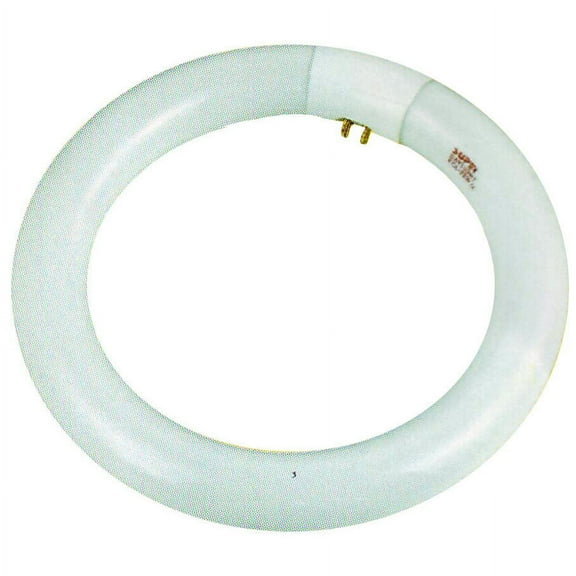 ELUCIDATE (2 Pack) Fluorescent Lamp Bulb | ⊘1" (⊘2.5 cm) Diameter Tube | ⊘8" (⊘20.3 cm) Circular Bright & Even Light Output | 4-Prong Secure Connection