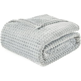 Walmart blankets 2.50 sale