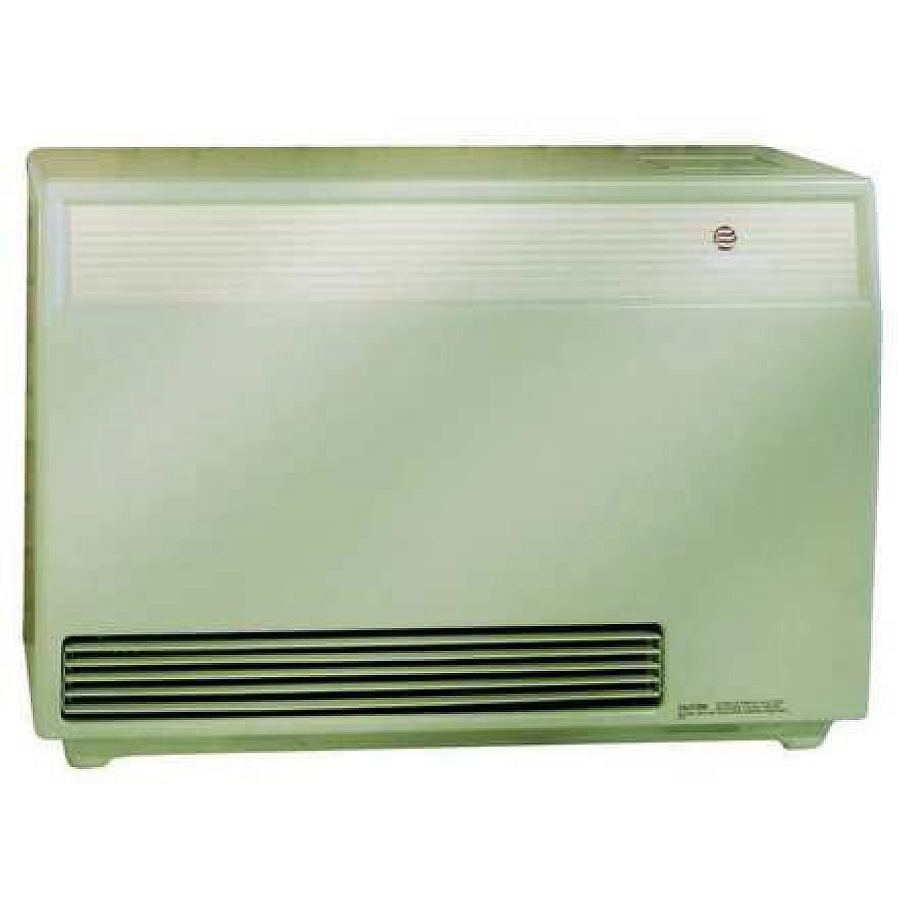 EMPIRE DV20ENAT Gas Freestanding Floor Heater, Natural Gas, Direct Vent ...