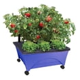 thumbnail image 1 of EMSCO Group- City Picker Raised Bed Grow Box – Self Watering and Improved Aeration – Mobile Unit with Casters - Cobalt Blue, 1 of 7