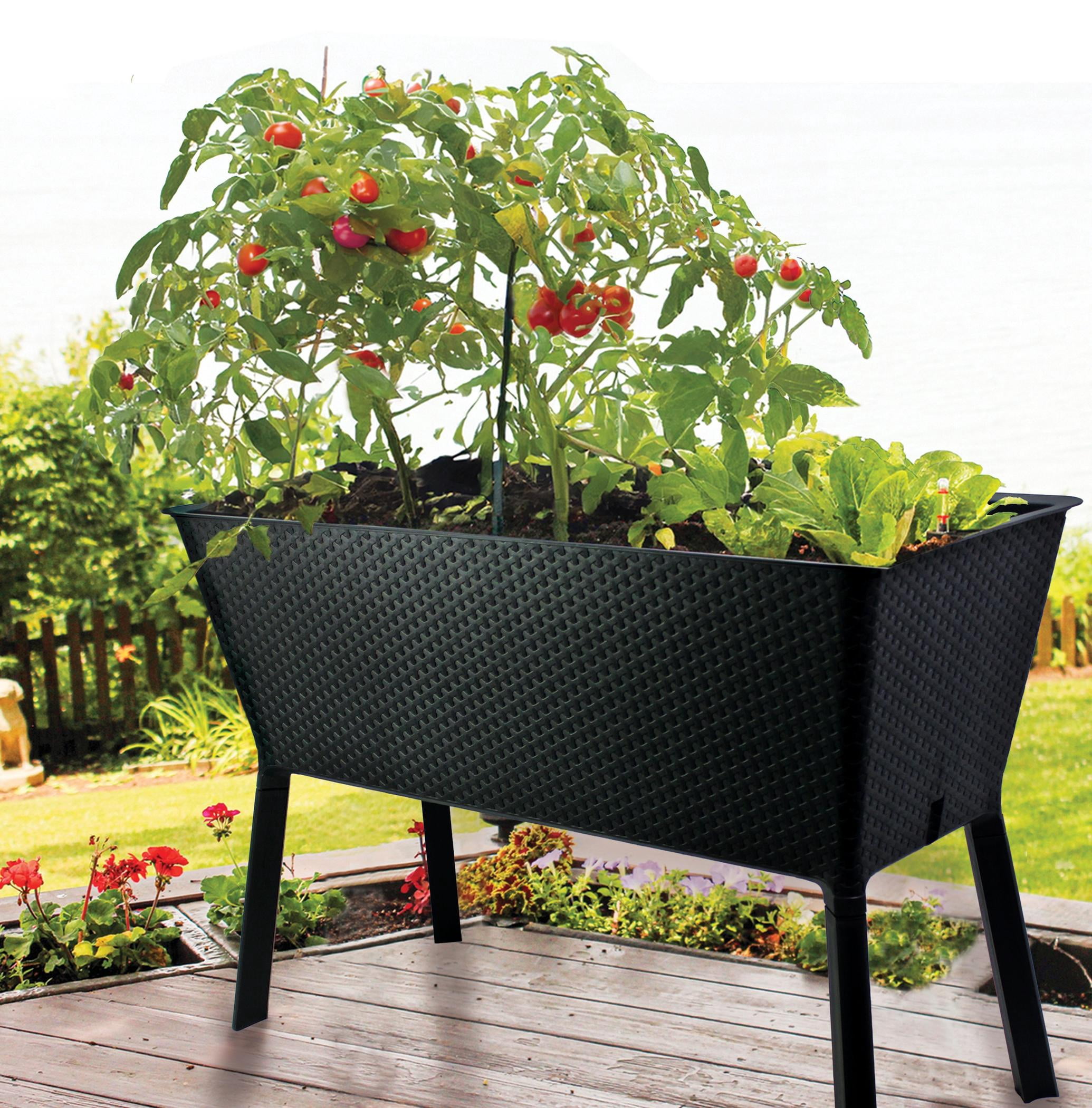 EMSCO Oasis XL Self-Watering Raised Garden, UV-Protected Charcoal Resin