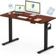 EN1 WholePiece Standing Desk 48 x 24 Inches Height Adjustable Desk