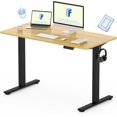 EN1 WholePiece Standing Desk 48" x 30" Electric Height Adjustable