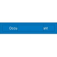 thumbnail image 1 of EN302BL National Marker Engraved Occupied/Vacant Sign, 2 Inches x 10 Inches, Blue, 2Ply Plastic, 1 of 1