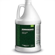 ENDURANT FW Concentrated Turf and Grass Colorant 1 Gallon Jug