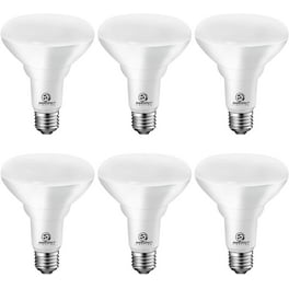 Newhouse Lighting G4 3020 4 20 Watt Equivalent G4 LED Bulb Halogen Replacement Light Bulb Bi Pin Non Dimmable pack of 4 Walmart