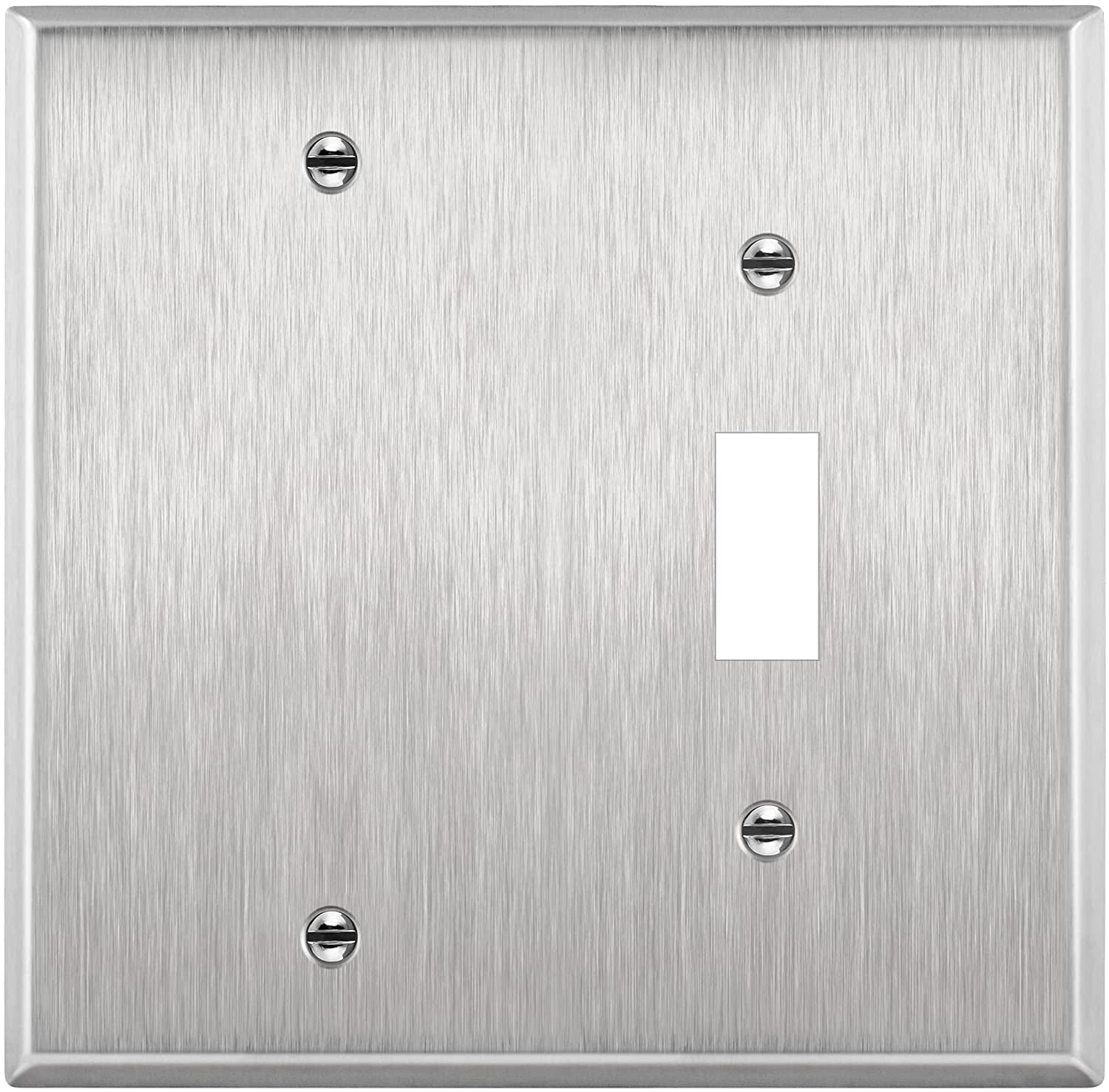 Stainless Steel 2-Gang Blank and Toggle Switch Wall Plate