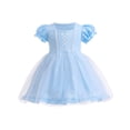 thumbnail image 1 of ENFLASH Princess Mesh Overlay Tulle Dress Baby Girls Birthday Costumes Kids Puff Sleeve Fancy Dresses, 1 of 10