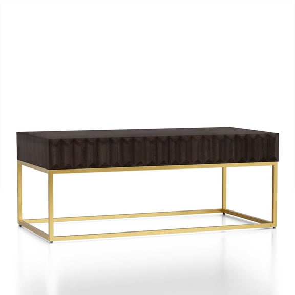 ENITIAL STAR Giffore Metal 2-Drawer Coffee Table