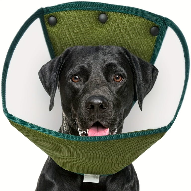 Neuter cone hotsell