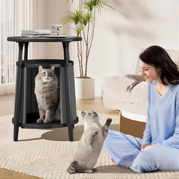 ENNSOO Cat House Modern Side Table Combo with Storage All Weather Resin ...