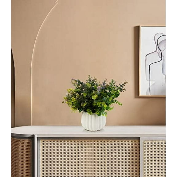 ENOVA FLORAL Potted Plants Artificial Decor, Artificial Eucalyptus Plants in White Ceramic Pots, Small Potted Fake Plants for Decorations