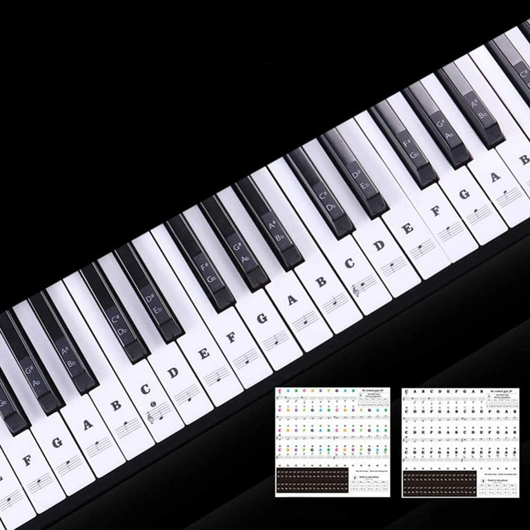 Labeling piano keys 61 new arrivals