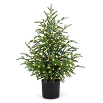 ENVEN 2ft Pre-Lit Norfolk Pine Artificial Green Christmas Tree 24" Real Touch Potted Decorative Planter Topiary