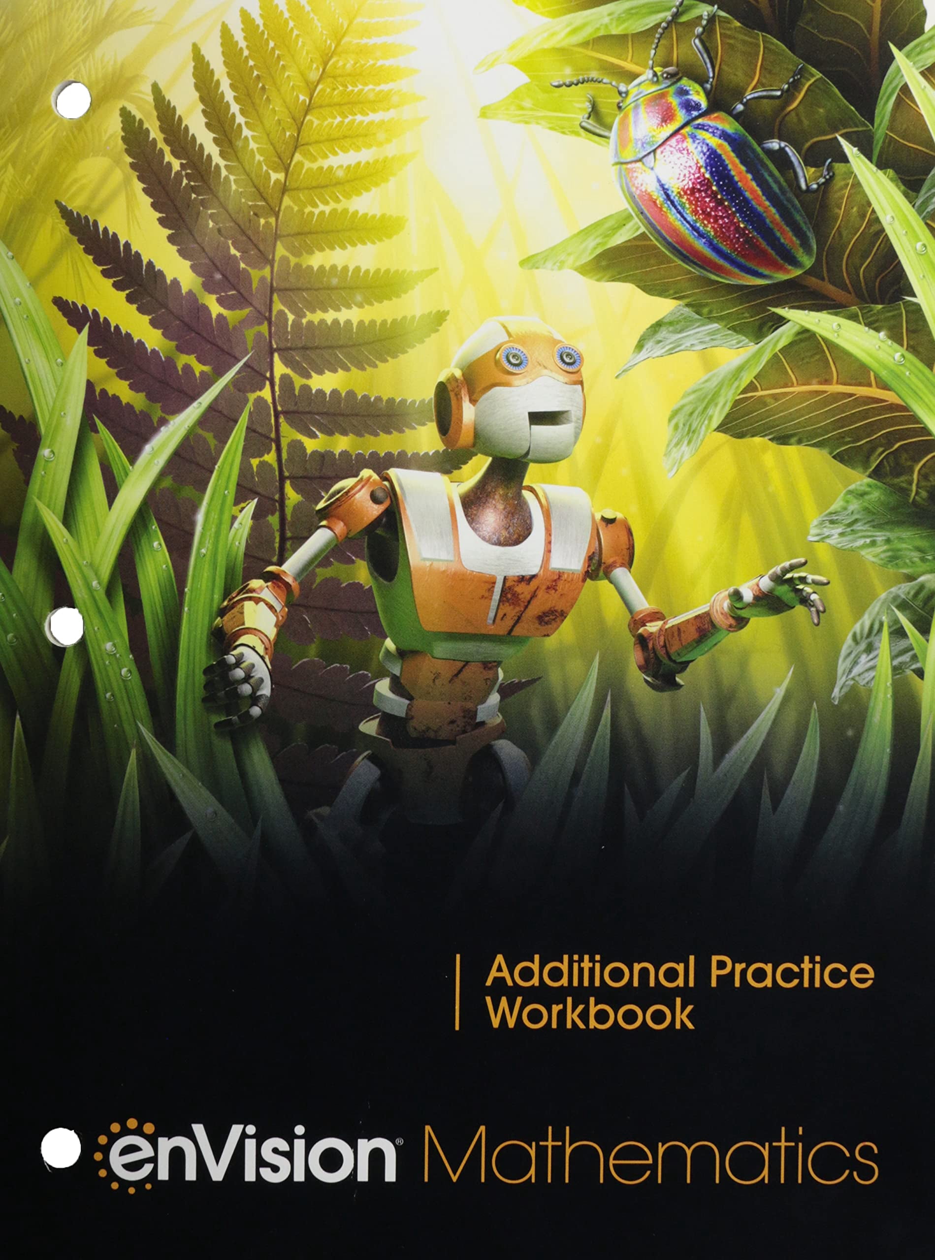 Envision Mathematics 2021 Additional Practice Workbook Grade 6 ...