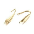 thumbnail image 1 of EOEMY 10Pcs 316 Stainless Steel Earring Hooks Smooth Earwire Jewelry Making 19.5X4.5mm-Gold, 1 of 2