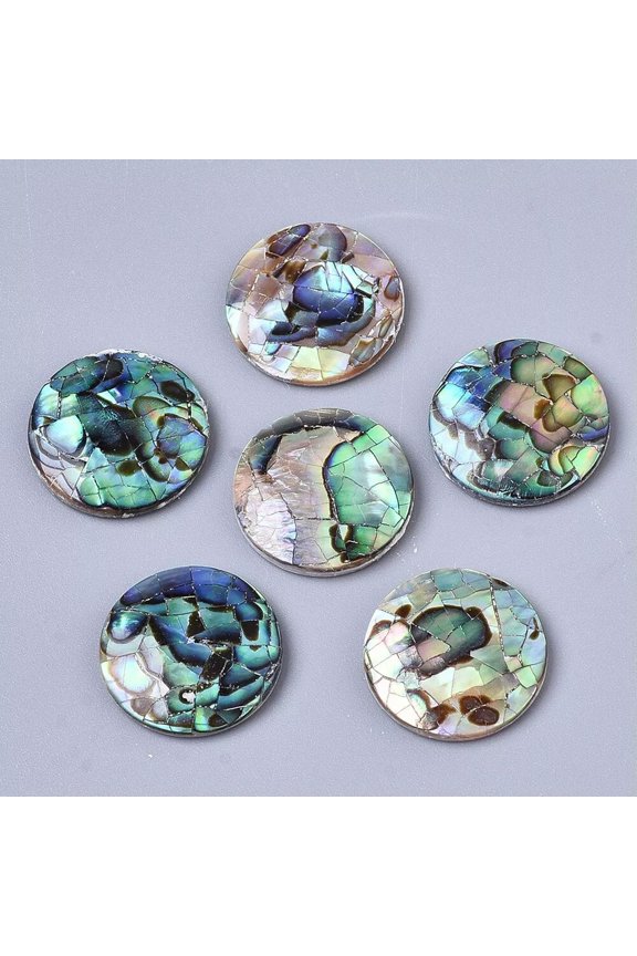 10X Flat Round Natural Abalone Paua Shell Cabochons With Freshwater Shell 16X3mm