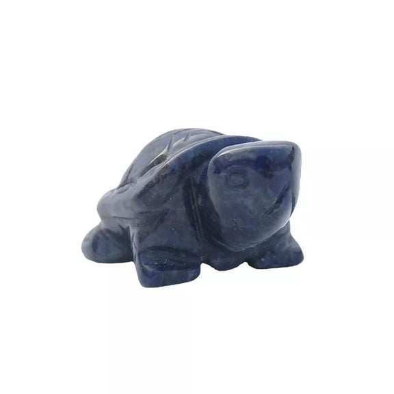 EOEMY 10X Natural Blue Sodalite Quartz Carved Longevity Turtle Tortoise Crystal Stone