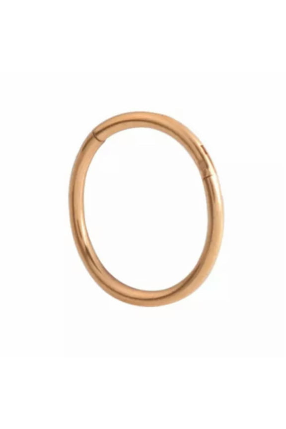 4Pcs Hinged Segment Nose Ring Stud Earring Ear Tragus Helix Lip Hoop Piercing !-Rose Gold-1.0X10mm-2Pcs