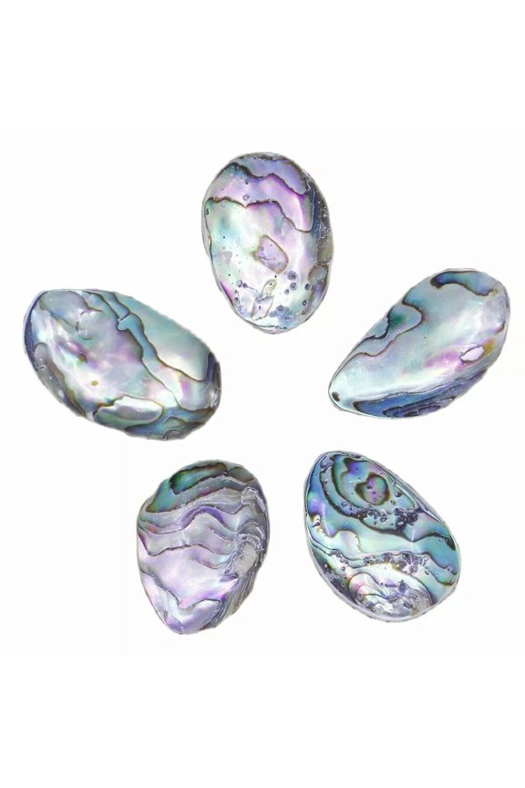 5 Pcs 12mmx22mm Oval Abalone Natural Rainbow Paua Shell Charms Pendants