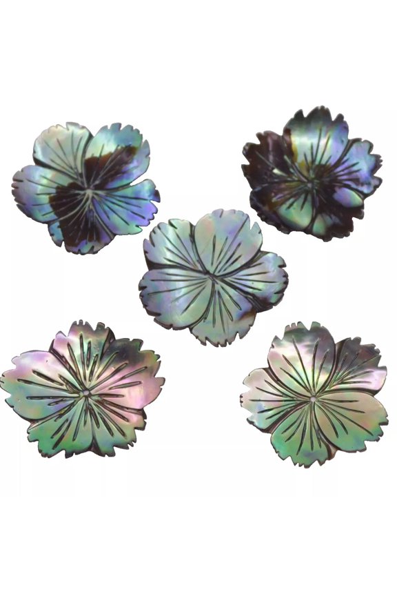 5Pcs 30mm Natural Green Abalone Paua Shell Flower Jewelry Making Charm