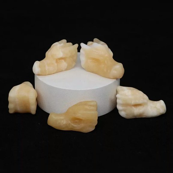 EOEMY 5Pcs Natural Golden Steatite Quartz Crystal Dragon Head Skull Carved Mini Decor