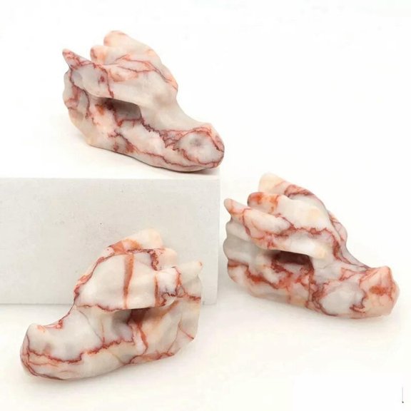 EOEMY 5Pcs Natural Red Picasso Jasper Quartz Crystal Dragon Head Skeleton Carved Decor