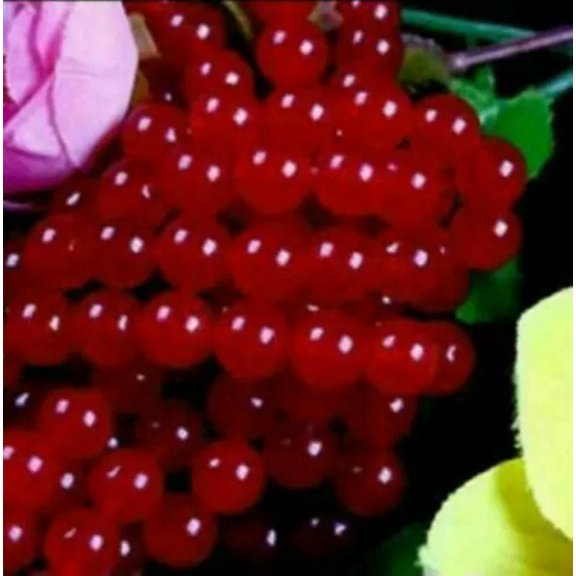 EOEMY 6/8/10mm Natural Red Ruby Round Carnelian Gemstone Jade Loose Beads 15"-8mm