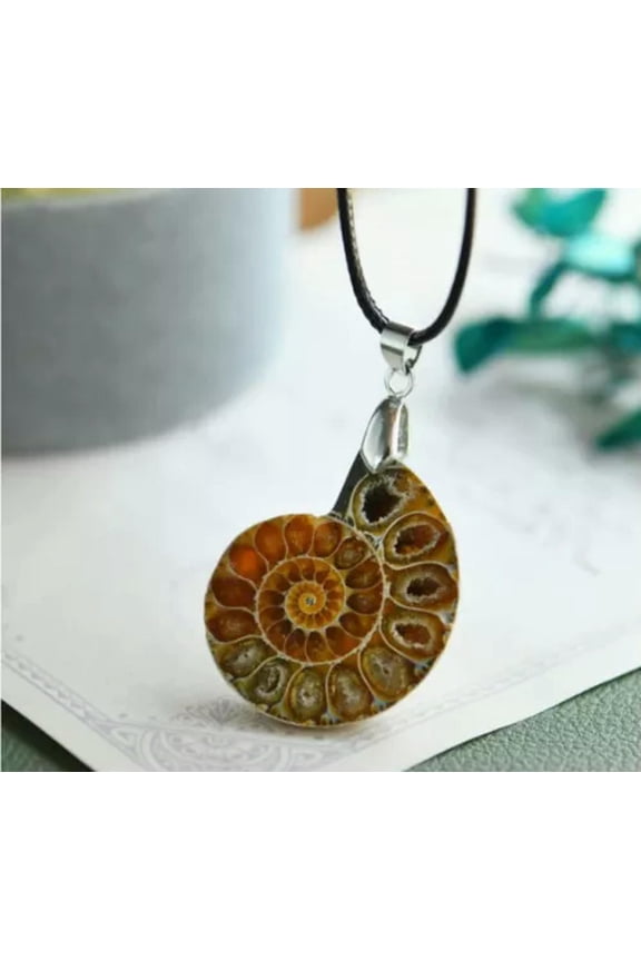 Ammonite Shell Pendant Necklace Unique Gift Mineral Stone Necklace