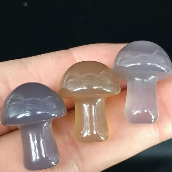 EOEMY Natural Grey Agate Stone Quartz Crystal Carved Mini Mushroom Energy Gem Figurne