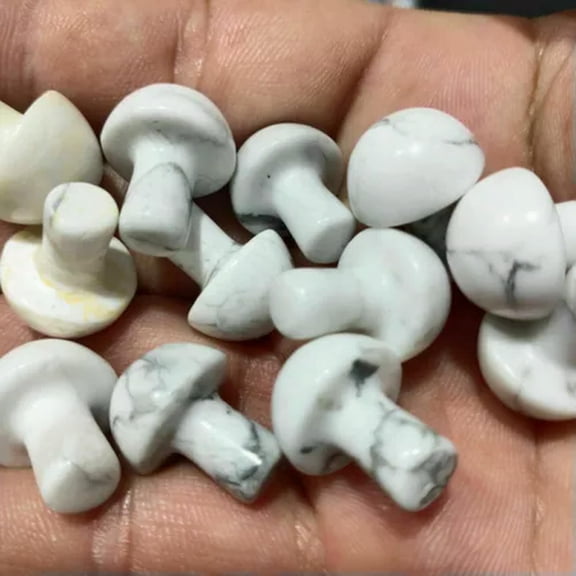 EOEMY Natural Quartz Crystal Carved Mini Mushroom Healing Rock Gemstone Agaricus Decor-White Turquoise Stone